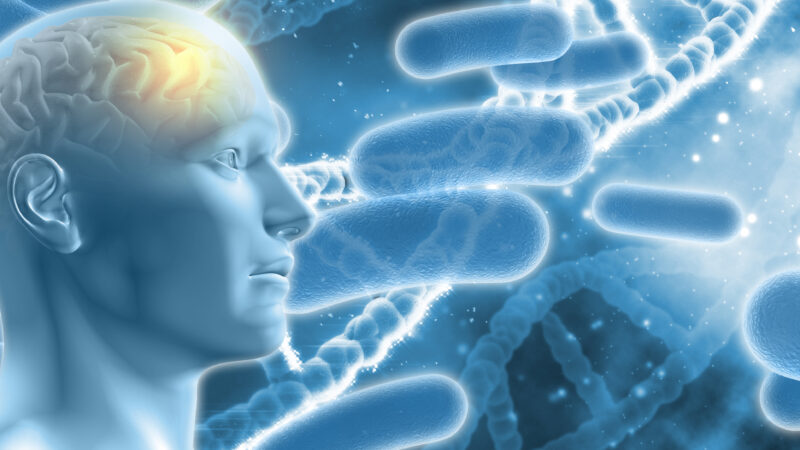 My doctoral research journey: understanding the psychosocial and biological risk factors of AMR in the human gut microbiome